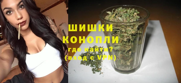 твердый Чегем