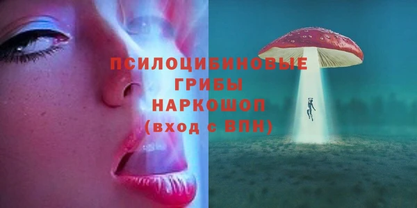 твердый Чегем