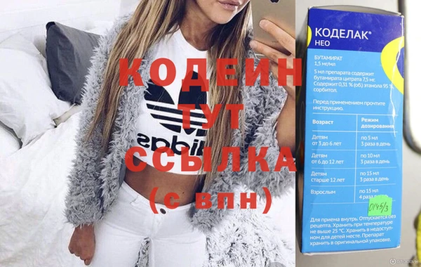 твердый Чегем