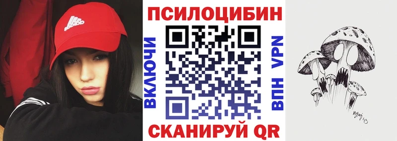 Псилоцибиновые грибы Psilocybine cubensis  Купить закладки  Сальск 