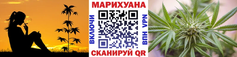 Марихуана семена  Купить где  Сальск 